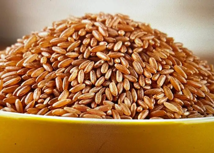 Basmati rice export India