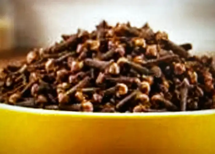 Clove export India