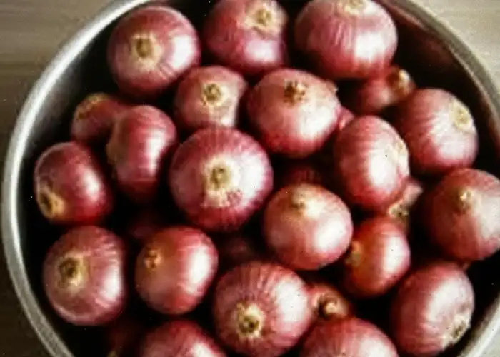 Nashik onion export