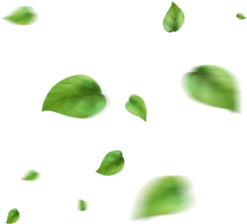 SAJ Impex Agricultural Export Products